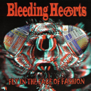 Fly in the Face of Fashion cover