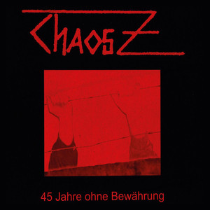 45 Jahre cover