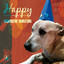 Happy Albumcover