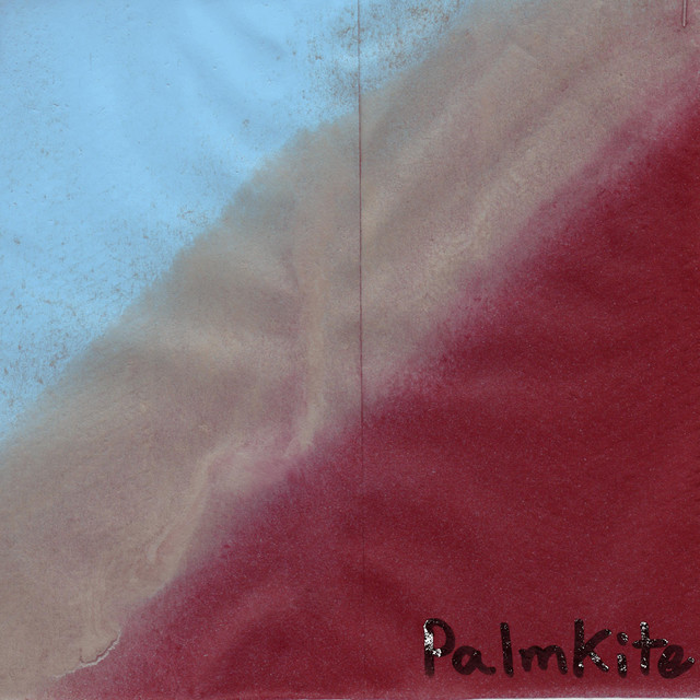 Palmkite Photo