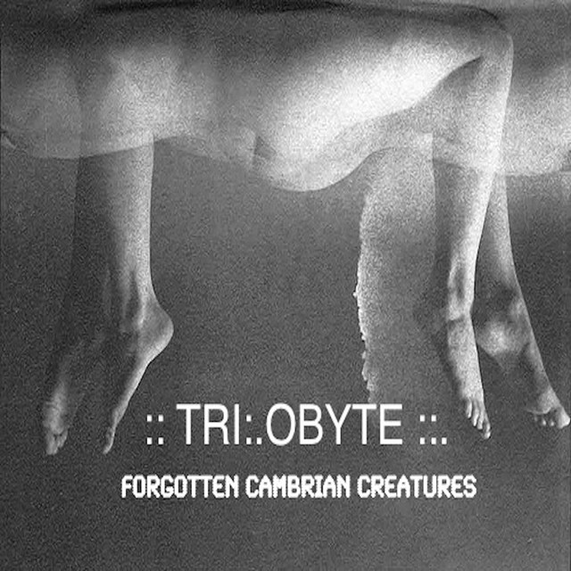 TRI:.OBYTE Photo