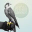 Over Me Albumcover