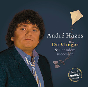 De Vlieger en 17 Andere Successen album