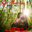 Lynn Anderson Forever, Vol. 3 cover