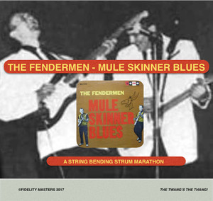 Mule Skinner Blues cover