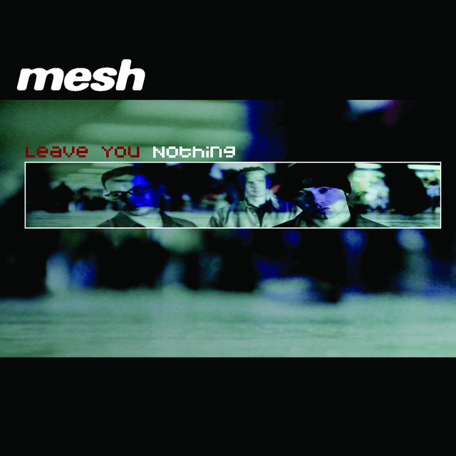 Leave You Nothing cover
