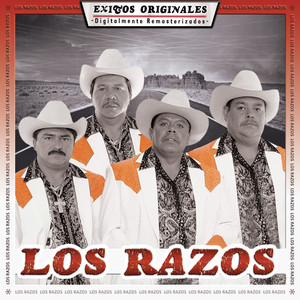 Exitos Originales album
