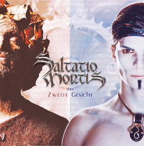 Das zweite Gesicht cover