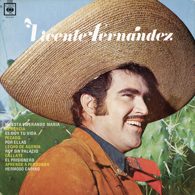 Vicente Fernández cover