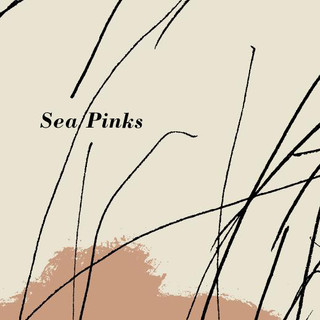 Sea Pinks Photo