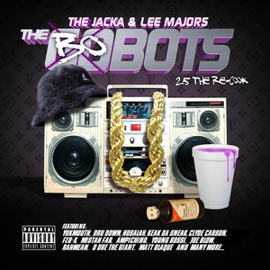 The Bobots 2.5 album