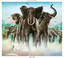 Armed Forces cover