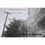 Organic Graffiti: Beyond the Street Scene Albumcover