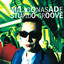 Stupido groove cover