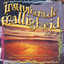 Instrumentele Malligheid Vol 2 Albumcover