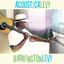 Acousticalevy cover