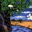 Under The Big Tree Albumcover