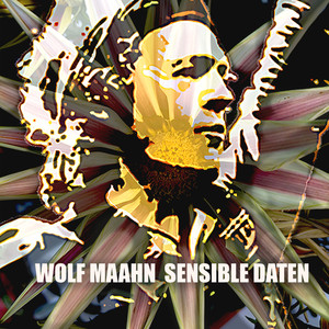 Sensible Daten cover