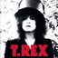 The Slider (Deluxe Edition) cover