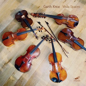 Viola Spaces Albumcover