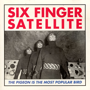The Pigeon Is the Most Popular Bird cover