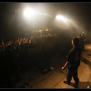 The Chimpz Photo