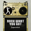 Rock What You Got cover
