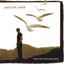 Under the Unminding Skies cover