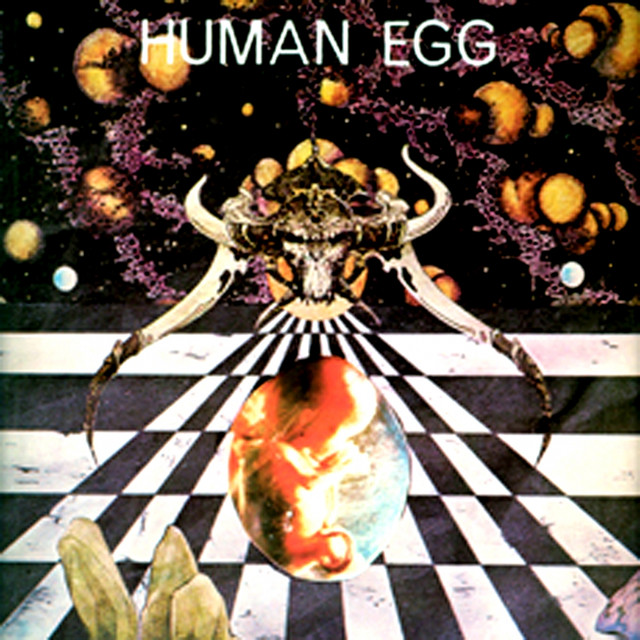 Human Egg Photo