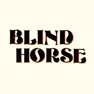 Blind Horse Photo