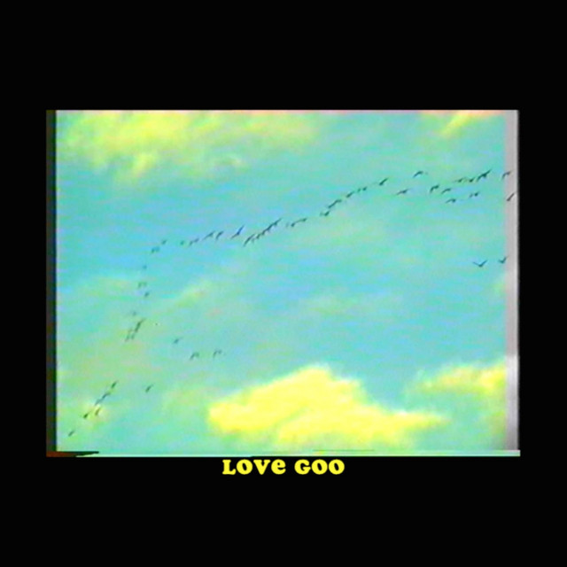 Love Goo cover