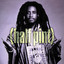 Half Pint cover