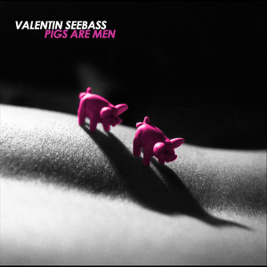 Valentin Seebass