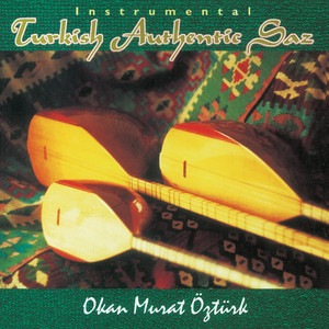 Turkish Authentic Saz cover