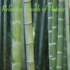 Relaxing Breath of Nature album