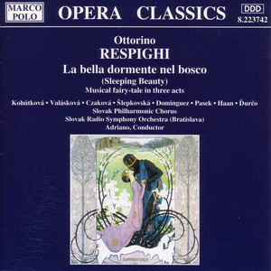 La bella dormente nel bosco cover
