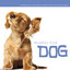 Relaxing Your Dog Albumcover