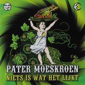 Niets is wat het lijkt cover