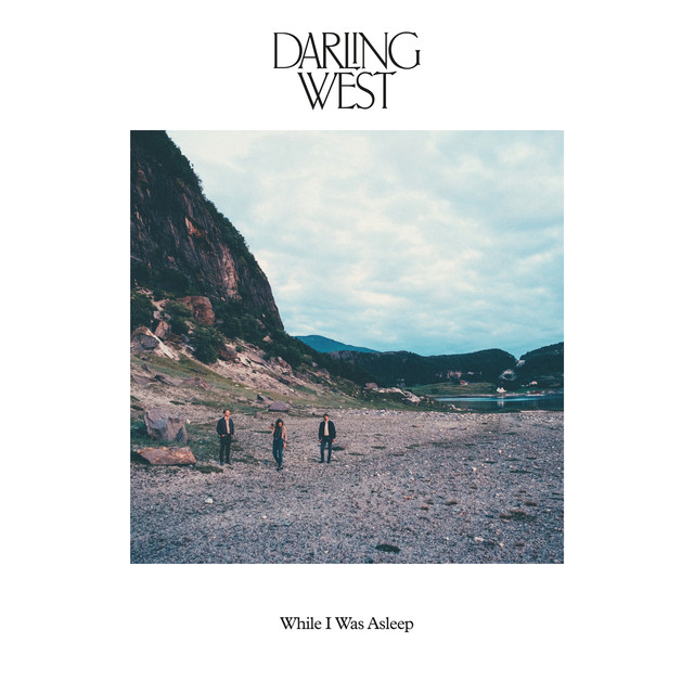 While I Was Asleep cover
