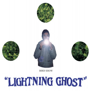 Lightning Ghost cover