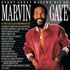 Every Great Motown Hit of Marvin Gaye album