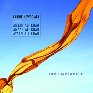 Everything Is Everywhere album