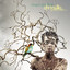 Chrysalis Albumcover