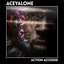 Action Accessed Remixes cover