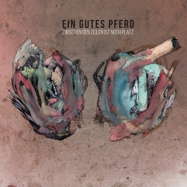 Ein gutes Pferd Photo