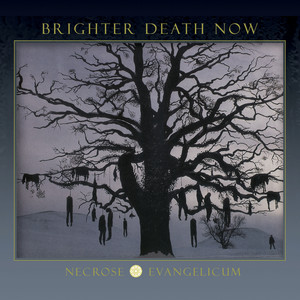Necrose Evangelicum cover