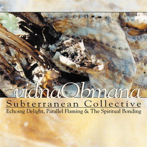 Subterranean Collective cover