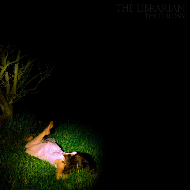 The Librarian photo