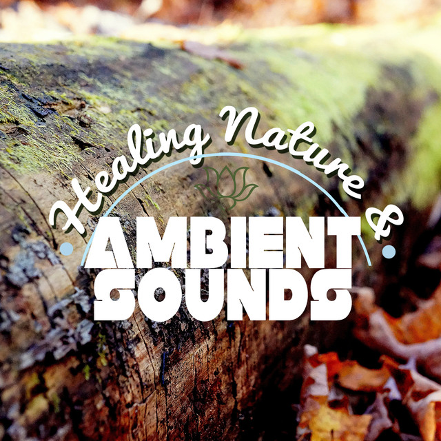 Healing Nature & Ambient Sounds Albumcover