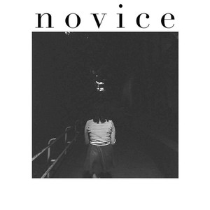 Novice poster